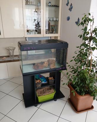 acquario 