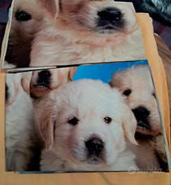 copripiumino matrimoniale stampa labrador