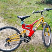 bicicletta ragazzo