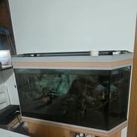 acquario 200 litri + filtro pratiko 300