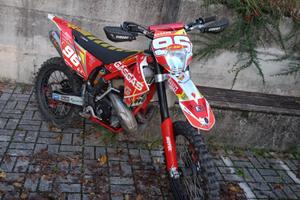 Gas gas ex 300