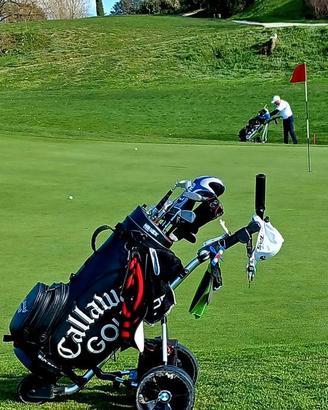 GOLF KART CARRELLO ELETTRICO BMW