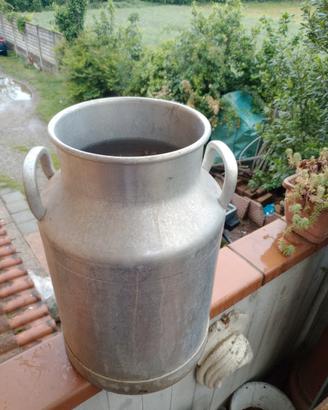 bidone vintage raccolta latte