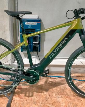 Olympia SLED E-gravel 