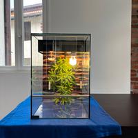 terrario per tartarughe 40x45x57