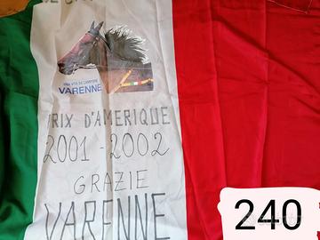 Bandiera Premio America 2001-2002 di varenne