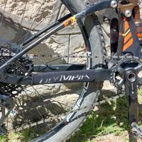 Mtb 29 full carbon olympia f1x