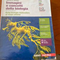 Immagini e concetti della biologia 9788808742568