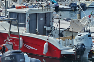 Saver 21 fisher deluxe