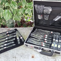 Set 24 coltelli professionali Berghoff