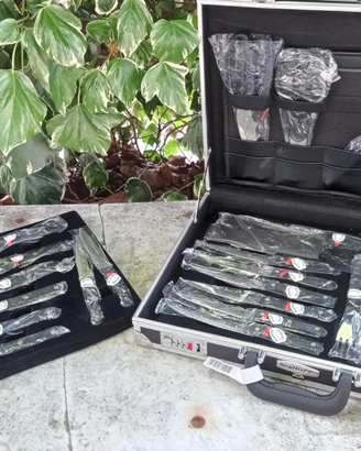 Set 24 coltelli professionali Berghoff