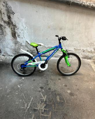 TORPADO