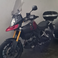 Honda V-Strom 1000 Immacolata