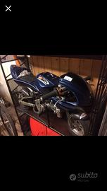 Midimoto polini