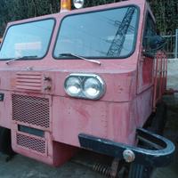 Battipista gatto dele nevi