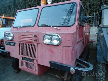 Battipista gatto dele nevi