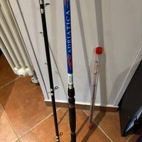 Canna colmic bolentino
