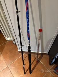 Canna colmic bolentino