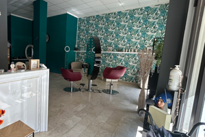 Attività di parrucchieri