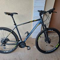 Bici MTB Bottecchia 116