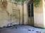 Immagine 8