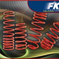 Molle assetto BMW serie 1 F20