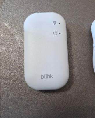 Blink Sync Module