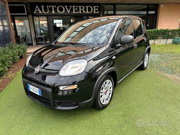FIAT Panda 1.0 FireFly S&S Hybrid 9000KM OK NEOP