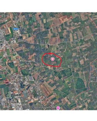 Terreno agricolo 3200 mq- euro 3600