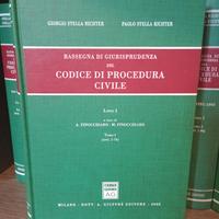 Rassegna giurisprudenza Codice Proc . Civile