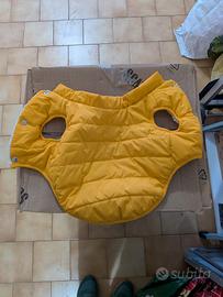 cappottino taglia medio piccola