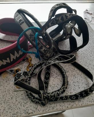 completo per cani cross