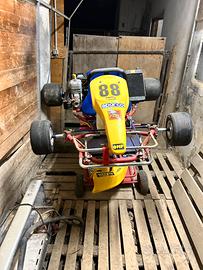Go-kart 100