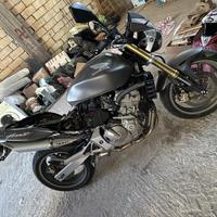 Honda Hornet 600