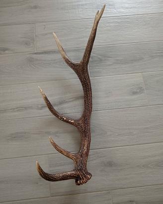 per decorazione 