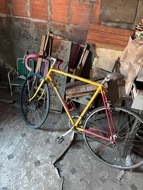 Bici da Corsa APEX
