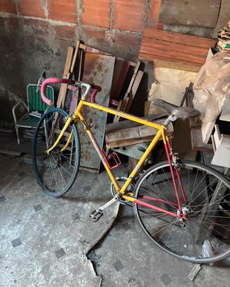 Bici da Corsa APEX