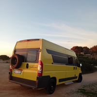 Camper puro ducato