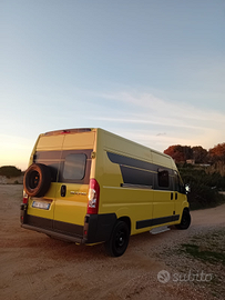 Camper puro ducato