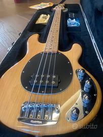 Music man stingray