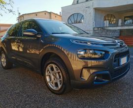 CITROEN C4 CACTUS BlueHDi 100 S&S Shine