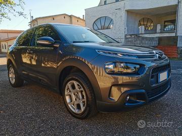 CITROEN C4 CACTUS BlueHDi 100 S&S Shine