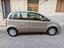 Immagine 7