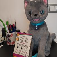 Mystery Mao gatto indovino