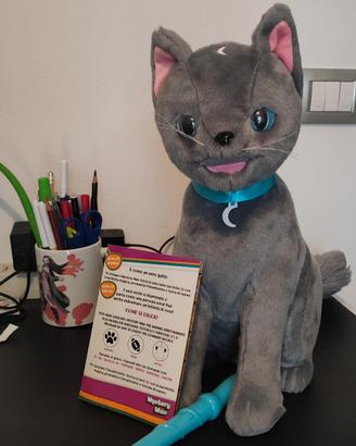 Mystery Mao gatto indovino