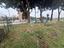 Immagine 14