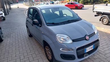 fiat panda 1.2 easy