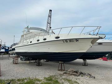 Piantoni 39 evolution