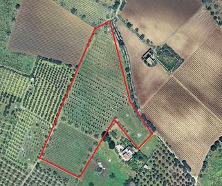 Terreno agricolo