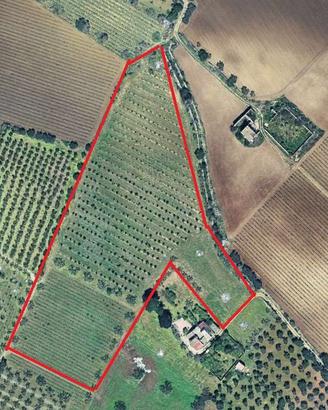 Terreno agricolo